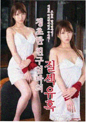 日剧京都四季便当高清剧照